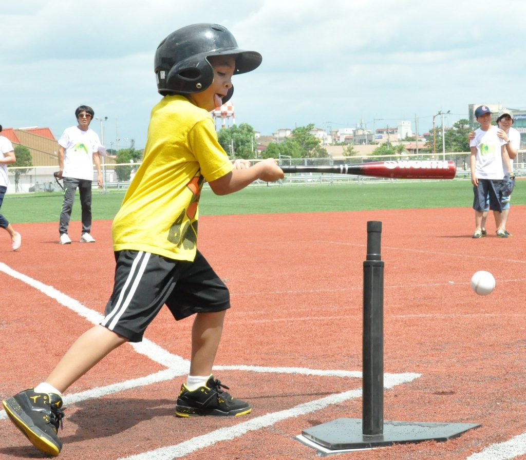 tee ball batting net